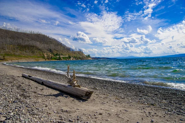 Lago Yellowstone National Park Trova Negli Stati Uniti Del Wyoming — Foto Stock