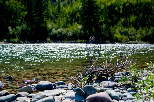 River Yellowstone National Park Está Localizado Nos Estados Norte Americanos — Fotografia de Stock