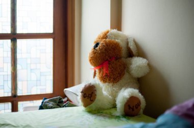 Havasız bir köpek yatakta hayvandır. Bu bebek, sevimli kişiden gelen bir hediye..