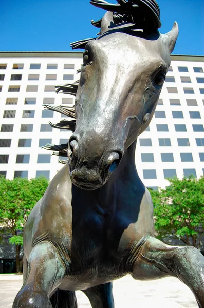 Statue Des Pferdes Ist Park Ausgestellt Wurde Texas Amerika Aufgenommen — Stockfoto