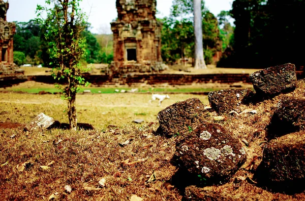 アンコール ワット カンボジアの遺産 この地域は 世界で最大の宗教的な記念碑として知られています — ストック写真