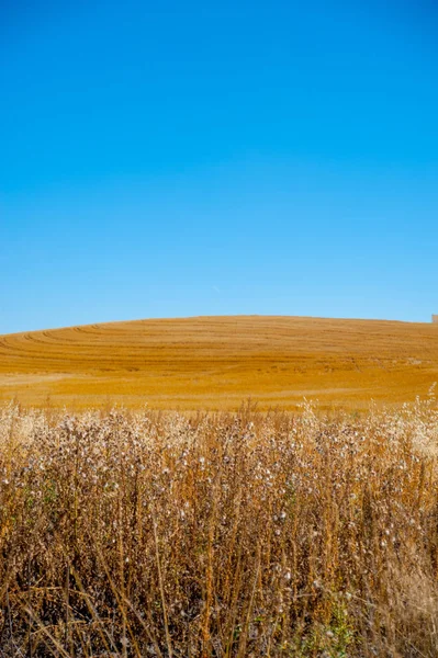 Paisagem Lado País América América Continente Onde Americanos Vivem Principalmente — Fotografia de Stock