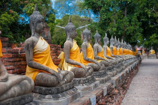 Buddha statues lined up at Ayutthaya World Heritage site, Thailand. Thailand is known as a country of smile.