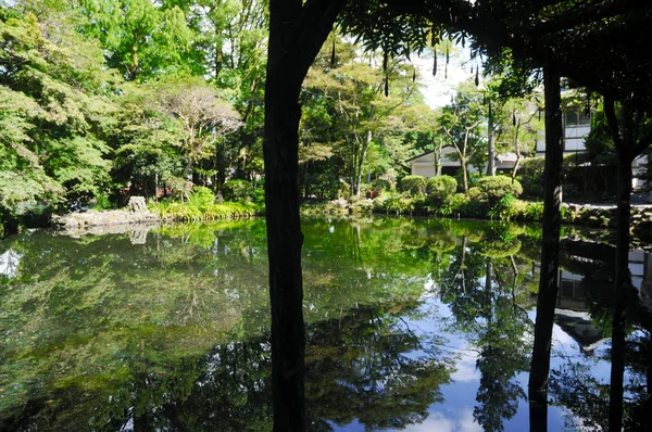 Pond Holy Water Fuji Fuji Hongu Sengen Taisha Shrine Shizuoka — Stock Photo, Image