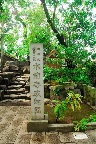 Jardin Japonais Avec Plein Vert Bonne Saison Pour Visiter Japon — Photo