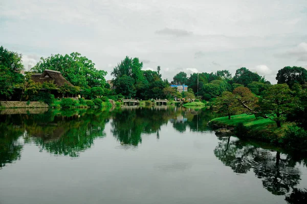 Jardín Japonés Con Lleno Verde Buena Temporada Para Que Naturaleza —  Fotos de Stock