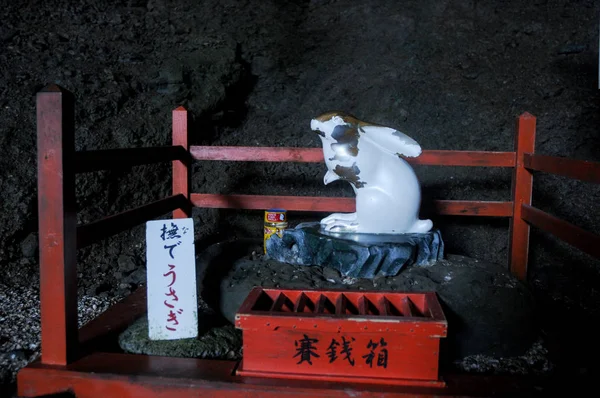 Touching Rabbit Presso Santuario Shintoista Udo Jingu Situato Miyazaki Giappone — Foto Stock