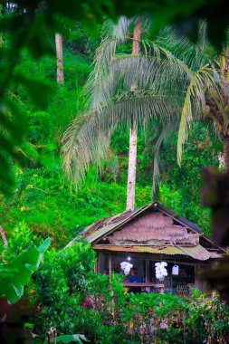 Bali, Endonezya Pura Kawi Gunung Sebatu Tapınağı. Bali Endonezya Adası ve bilinen bir turistik yer. Bali insanların çoğunluğu Hindu din inanıyorum.
