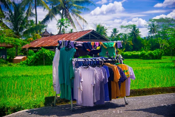 Wäscherei Der Nähe Des Reisfeldes Bali Indonesien Bali Ist Eine — Stockfoto