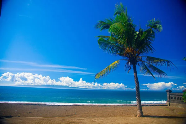 Palm Tree Praia Nas Proximidades Lado Leste Ilha Bali Indonésia — Fotografia de Stock