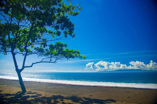 Palme Strand Nahe Der Ostseite Der Bali Insel Indonesien Bali — Stockfoto