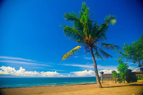 Palm Tree Praia Nas Proximidades Lado Leste Ilha Bali Indonésia — Fotografia de Stock