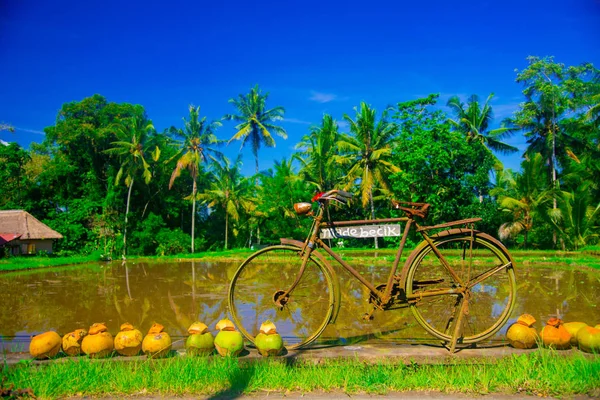 Risfält Bali Indonesien Bali Indonesiska Känd Som Ett Turistmål Bali — Stockfoto