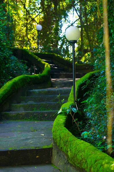 Bemooste Treppe Der Nähe Des Strandes Der Bali Insel Indonesien — Stockfoto