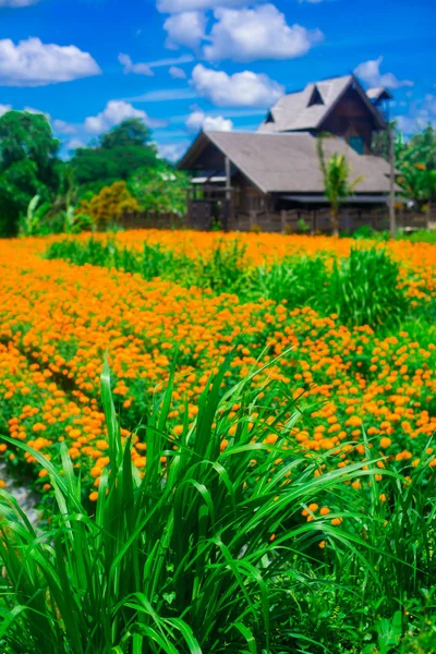 Landschap Van Het Eiland Bali Indonesië Bali Een Indonesisch Eiland — Stockfoto