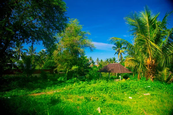 Paesaggio Dell Isola Bali Indonesia Bali Isola Indonesiana Conosciuta Come — Foto Stock