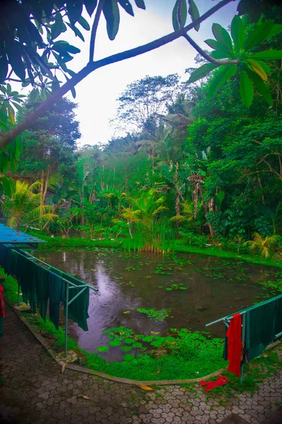 Temple Pura Gunung Kawi Sebatu Bali Indonésie Bali Est Une — Photo