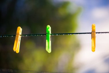 Queensland, Avustralya Brisbane şehirde kıyafet pimleri. Avustralya dünyanın Güney kısmında yer alan bir kıta olduğunu.