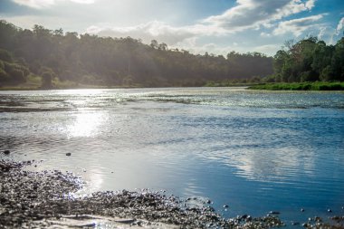 Brisbane şehir Queensland, Avustralya yakın su birikintisi. Avustralya dünyanın Güney kısmında yer alan bir kıta olduğunu.