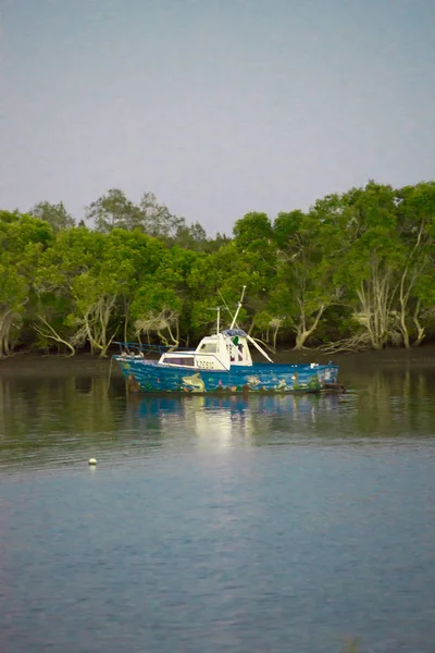 Boats Nearby Brisbane City Queensland Australia Australia Continent Located South — Stock Photo, Image