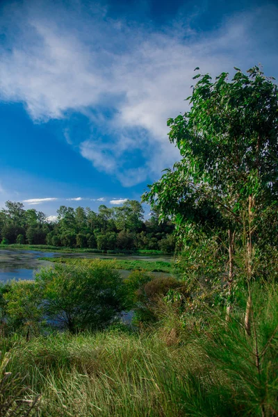 퀸즐랜드 호주에서 브리즈번 연못입니다 호주는 대륙의 부분에 있습니다 — 스톡 사진