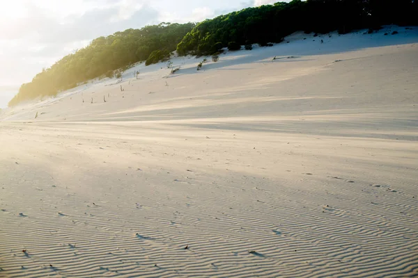 Carlo Sandblow Rainbow Beach Queensland Australien Ist Ein Kontinent Süden — Stockfoto