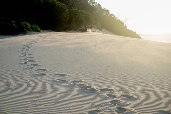 Carlo Sandblow Rainbow Beach Queensland Australien Kontinent Som Ligger Den — Stockfoto