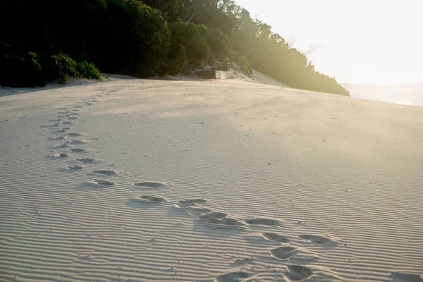 Carlo Sandblow Rainbow Beach Queensland Australia Continente Situato Nella Parte — Foto Stock