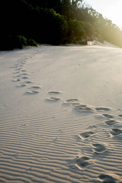 Carlo Sandblow Rainbow Beach Queensland Australia Adalah Sebuah Benua Yang — Stok Foto