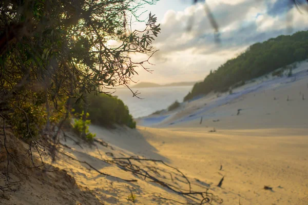 Carlo Sandblow Rainbow Beach Queensland Australien Kontinent Som Ligger Den — Stockfoto