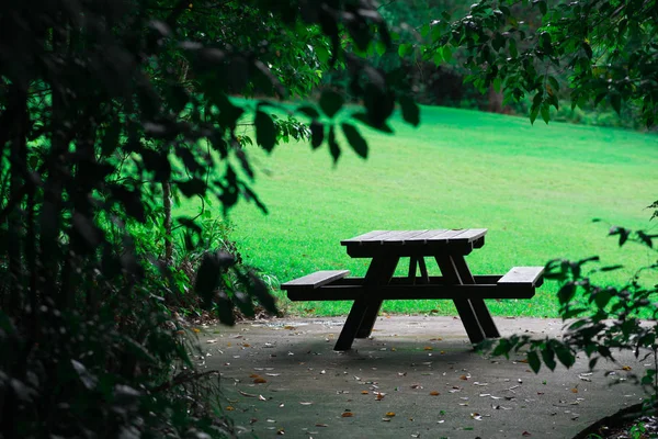 Sitz Der Nähe Von Brisbane City Queensland Australien Australien Ist — Stockfoto