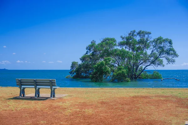 Seat Nearby Brisbane City Queensland Australia Australia Continent Located South — Stock Photo, Image