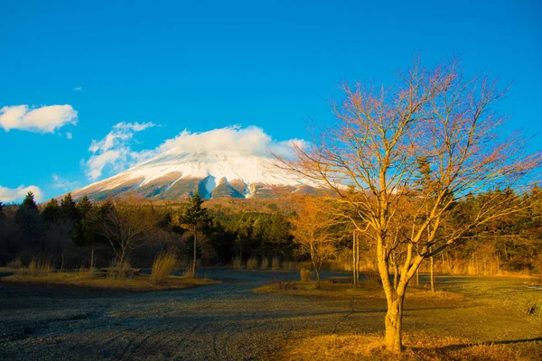 Fuji Fuji Japan Fuji One Important Cities Japan Cultures Business — Stock Photo, Image