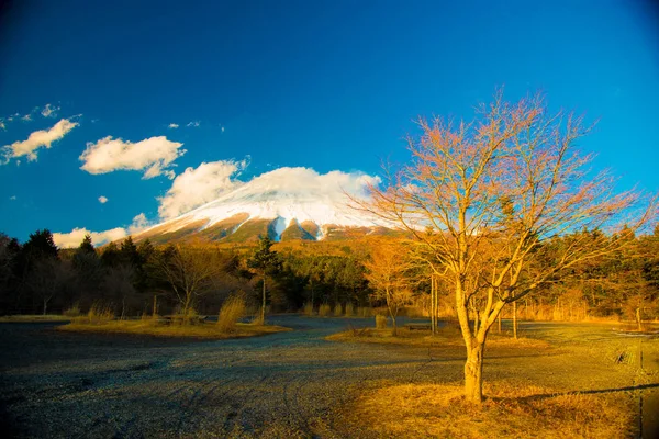 Fuji Fuji Japan Fuji One Important Cities Japan Cultures Business — Stock Photo, Image