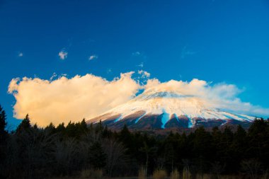 Fuji Dağı, Japonya. Fuji kültür ve iş pazarları için Japonya 'nın önemli şehirlerinden biridir.