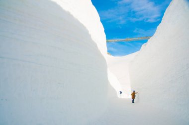 Toyama, Japonya 'da Tateyama Dağları. Toyama kültür ve iş piyasaları için Japonya 'nın önemli şehirlerinden biridir.