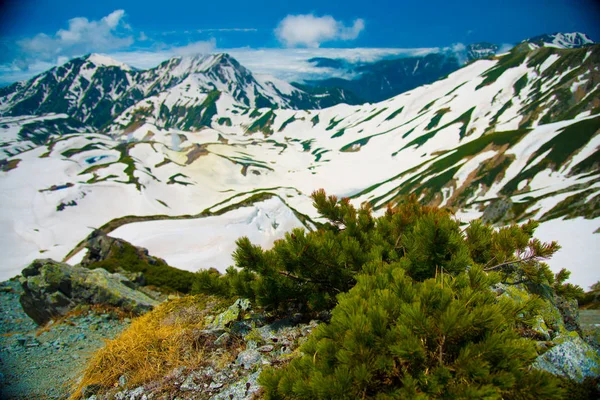 Montagne Tateyama Toyama Giappone Toyama Una Delle Città Importanti Giappone — Foto Stock