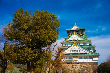 Osaka 'da Osaka Kalesi, Japonya. Osaka, kültür ve iş piyasaları için Japonya 'nın önemli şehirlerinden biridir..