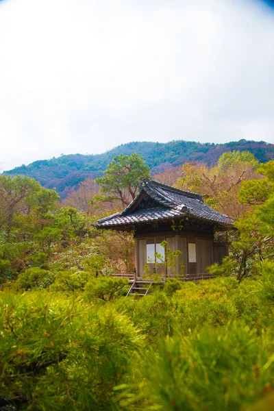 Japansk Trädgård Osaka Japan Osaka Viktigaste Städerna Japan För Kulturer — Stockfoto