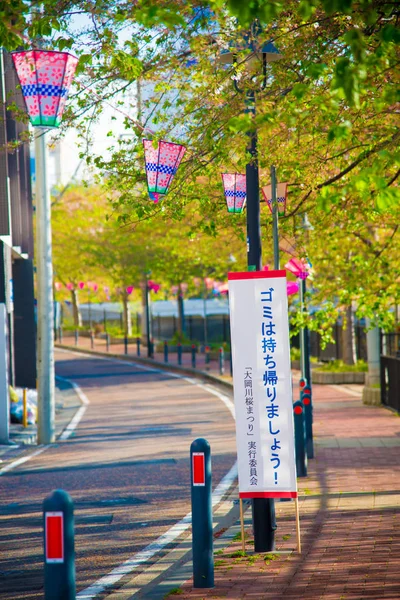 Fiori Ciliegio Tokyo Giappone Aprile Giappone Molto Popolare Sakura Cherry — Foto Stock
