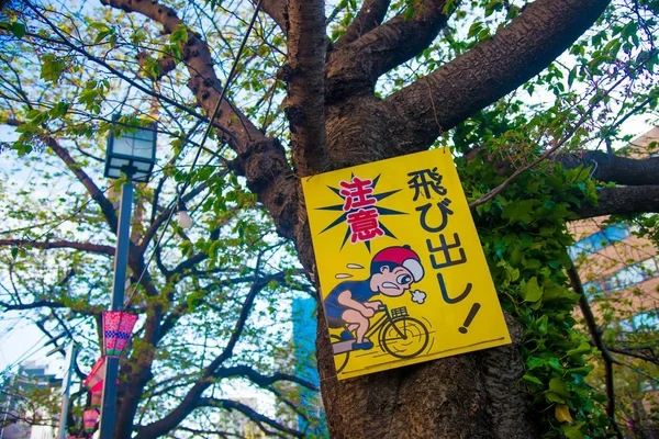 Fiori Ciliegio Tokyo Giappone Aprile Giappone Molto Popolare Sakura Cherry — Foto Stock