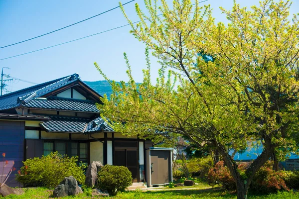 Antigua Casa Japonesa Los Alpes Japón Japón Alpes Encuentra Entre — Foto de Stock