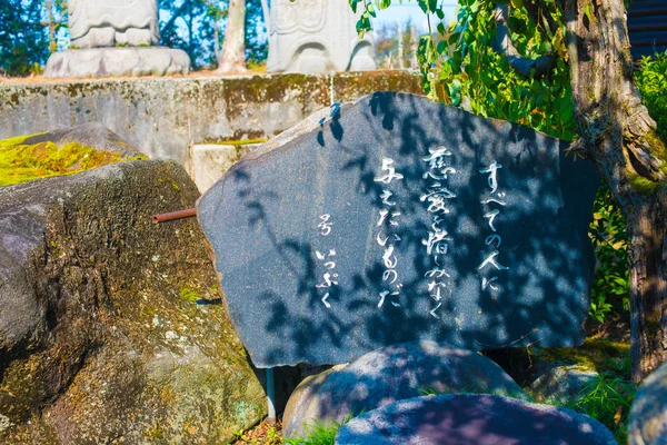 Musée Ippuku Toyama Japon Japon Alpes Est Situé Entre Les — Photo