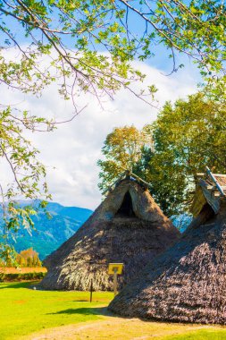 Fudodo Toyama, Japonya'da mahveder. Jomon Dönemi yaşamak için kullanılan hangi insanların Japon eski ev.