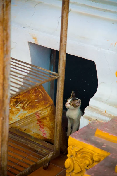 Vida Diária Tailandesa Bangkok Tailândia Tailândia Conhecido Como País Com — Fotografia de Stock