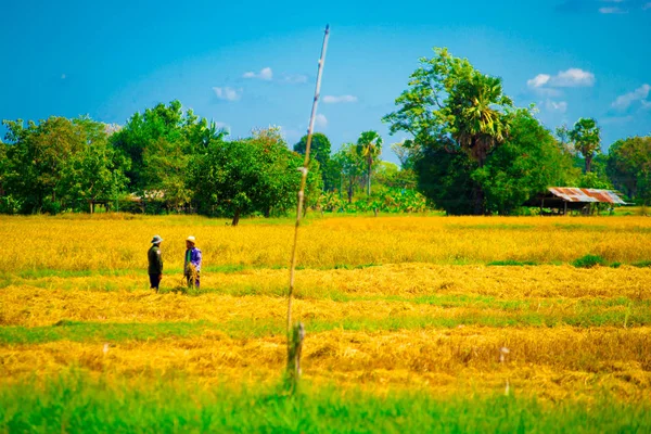 Thaise Dagelijks Leven Bangkok Thailand Thailand Staat Bekend Als Een — Stockfoto