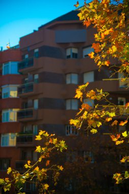 Turistler Barselona, İspanya 'ya gidiyorlar. Barcelona, İspanya 'nın doğu kıyısında yer alan bir Artistik şehir olarak bilinir.