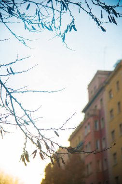 Turistler Barselona, İspanya 'ya gidiyorlar. Barcelona, İspanya 'nın doğu kıyısında yer alan bir Artistik şehir olarak bilinir.