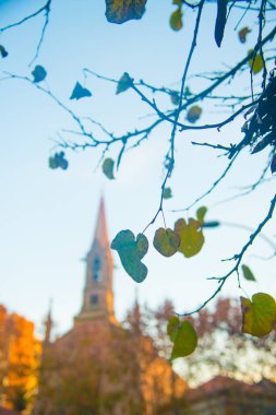 Turistler Barselona, İspanya 'ya gidiyorlar. Barcelona, İspanya 'nın doğu kıyısında yer alan bir Artistik şehir olarak bilinir.