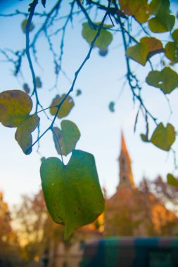 Turistler Barselona, İspanya 'ya gidiyorlar. Barcelona, İspanya 'nın doğu kıyısında yer alan bir Artistik şehir olarak bilinir.